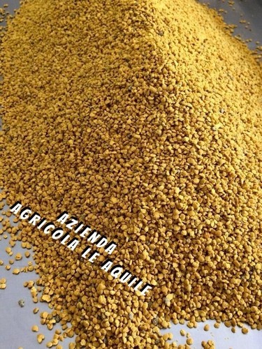 Polline api castagno - castagno,