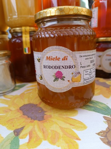 Miele rododendro 1 kg - di,