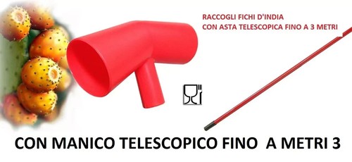 Raccogli fichi india con - raccogli,