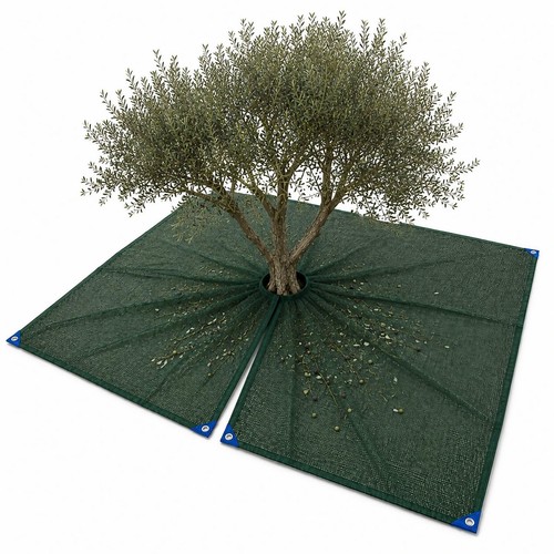 Telo rete raccolta olive - raccolta,