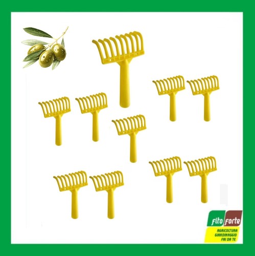 Rastrelli raccolta olive - raccolta,