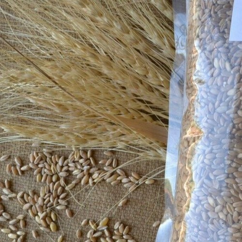 Grano duro antico - , sicilia