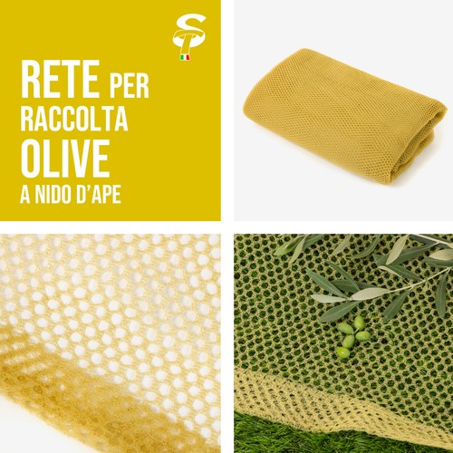 Rete raccolta olive - olive, nido