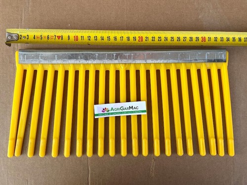 Spazzola denti per - 21,